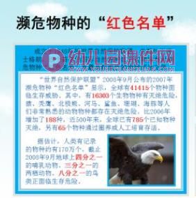 大班社会课件PPT《世界动物日》PPT课件图片