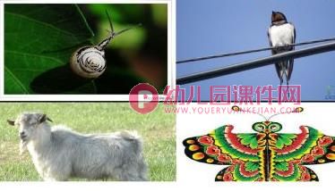 大班社会课件PPT《做个守信用的孩子》PPT课件图片