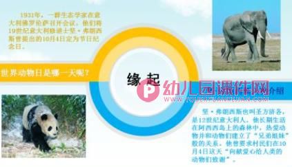 大班社会课件PPT《世界动物日》PPT课件图片