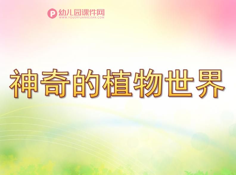 大班社会课件PPT《神奇的植物世界》PPT课件图片