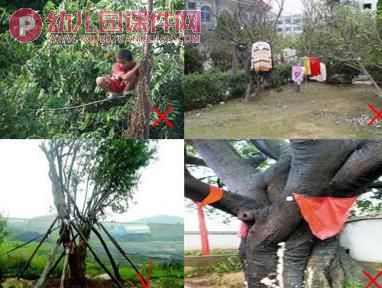 大班社会课件PPT《树木的作用》PPT课件图片