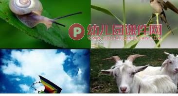 大班社会课件PPT《做个守信用的孩子》PPT课件图片