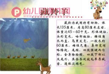 大班社会活动课件PPT《珍稀动物》PPT课件图片