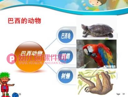 大班社会课件PPT《美丽的巴西》PPT课件图片