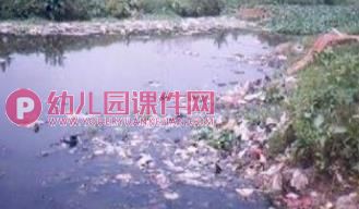 中班社会课件PPT《白色垃圾污染大》PPT课件图片