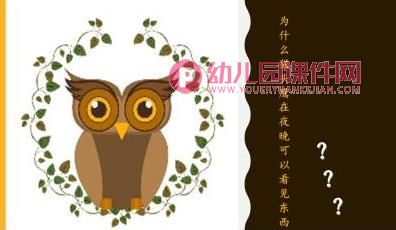 大班社会课件PPT《爱鸟聚会》PPT课件图片