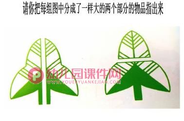 大班数学课件PPT《学习二等分》PPT课件图片