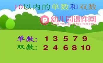 大班数学活动课件PPT《认识单数和双数》PPT课件图片