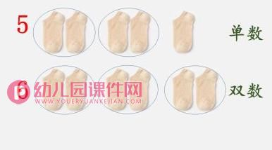 大班计算课件PPT《认识单双数》PPT课件图片