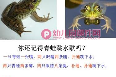 大班数学活动课件PPT《单数双数》PPT课件图片