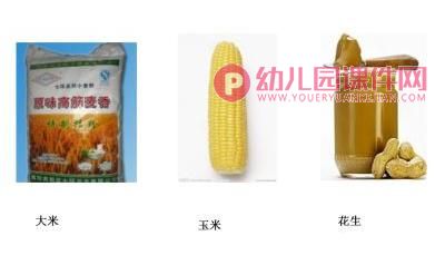 大班数学活动课件PPT《田鼠太太的项链》PPT课件图片