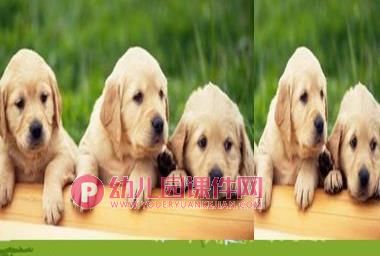 大班数学活动课件PPT《5的第二组加减》PPT课件图片