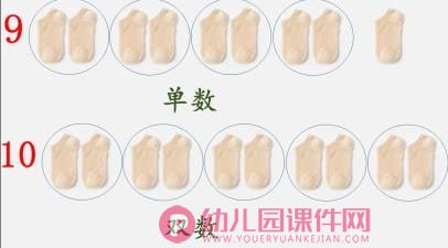 大班计算课件PPT《认识单双数》PPT课件图片