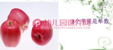 大班数学活动课件PPT《认识单数和双数》PPT课件图片