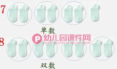 大班计算课件PPT《认识单双数》PPT课件图片