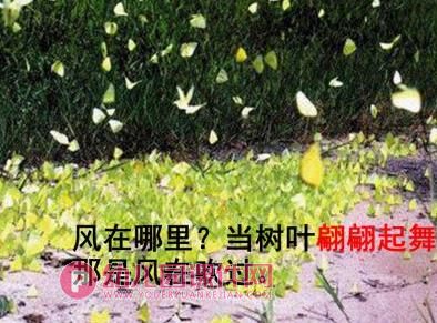 大班音乐课件PPT《风在哪里》PPT课件图片