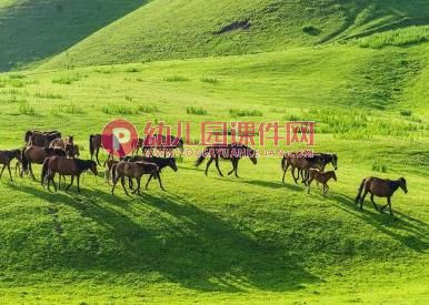 大班亲子韵律课件PPT《草原上的游戏》PPT课件配乐图片