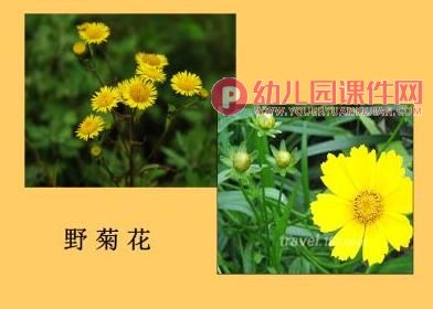 大班音乐活动课件PPT《打花巴掌》PPT课件图片
