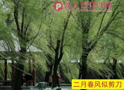 大班音乐课件PPT《咏柳》PPT课件音乐图片