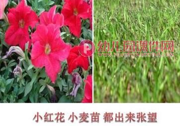 大班音乐课件PPT《春姑娘》PPT课件图片