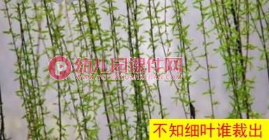 大班音乐课件PPT《咏柳》PPT课件音乐图片