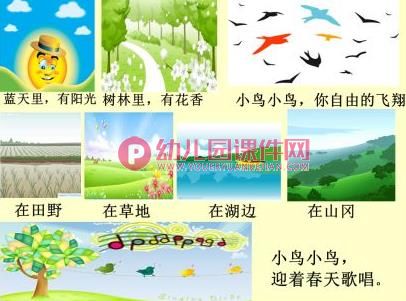 大班音乐歌唱活动课件PPT《小鸟小鸟》PPT课件图片