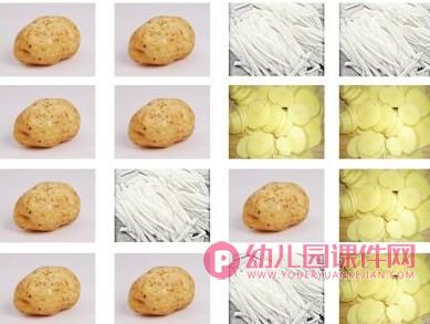 大班音乐活动课件PPT《土豆一家》PPT课件图片