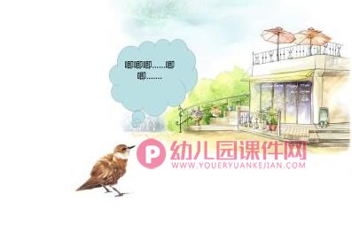 大班语言课件PPT《断喙鸟》PPT课件图片
