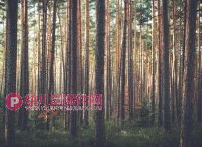 大象躲在哪儿故事图片PPT课件图片