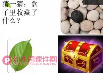 大班故事课件PPT《豆豆收藏家》PPT课件图片