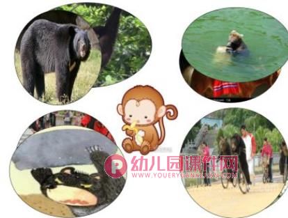 大班语言课件PPT《我会夸》PPT课件配音图片