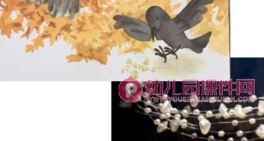 大班语言课件PPT《我喜欢收集》PPT课件图片