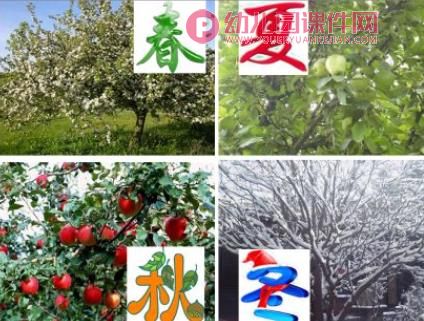 大班语言活动课件PPT《四季妈妈的四个娃娃》PPT课件图片