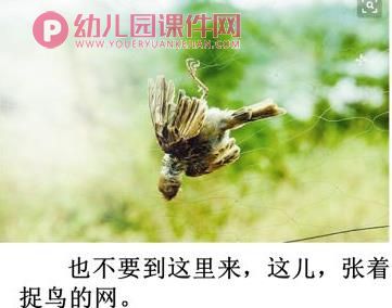 大班散文诗课件PPT《小小的希望》PPT课件图片