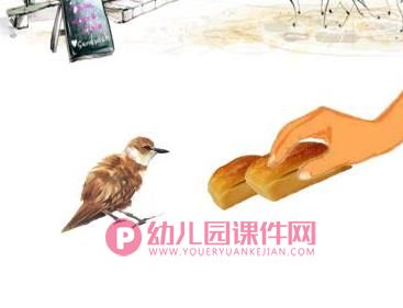 大班语言课件PPT《断喙鸟》PPT课件图片