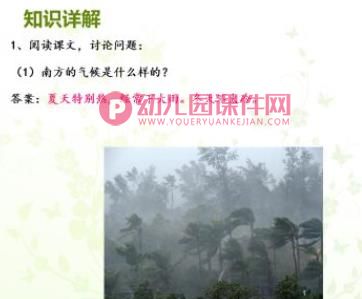 大班语言认知活动课件PPT《北方和南方》PPT课件图片
