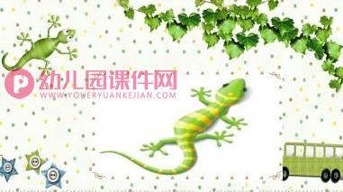 大班语言活动课件PPT《小壁虎借尾巴》PPT课件图片