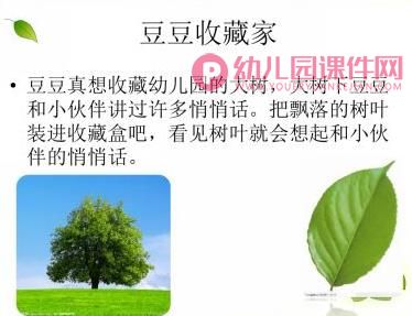 大班故事课件PPT《豆豆收藏家》PPT课件图片