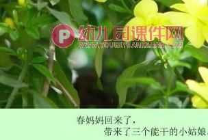 大班语言课件PPT《春妈妈的三个小姑娘》PPT课件图片