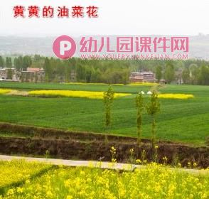 大班语言故事课件PPT《春天的电话》PPT课件图片