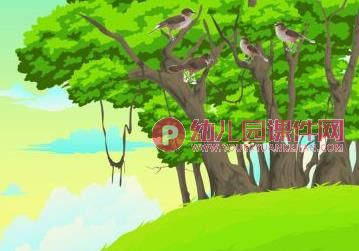 大班语言课件PPT《断喙鸟》PPT课件图片