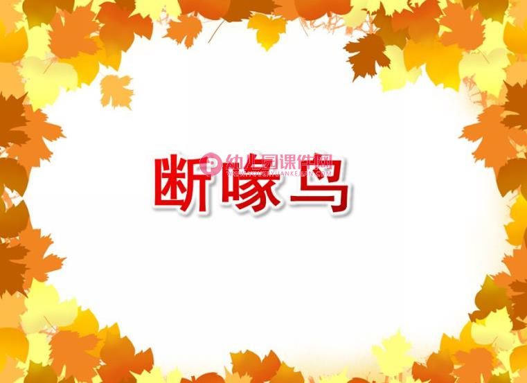 大班语言课件PPT《断喙鸟》PPT课件图片