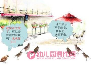 大班语言课件PPT《断喙鸟》PPT课件图片