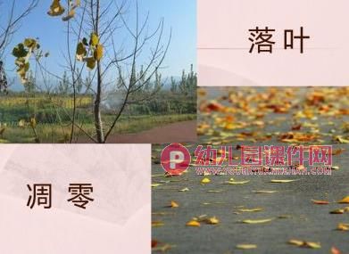 大班主题课件PPT《秋天的故事》PPT课件图片
