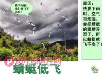 大班课件PPT《春夏秋冬物象天气预报》PPT课件图片