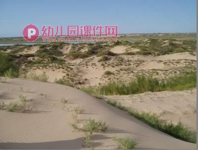 大班环保课件PPT《热爱我们的家园地球》PPT课件图片