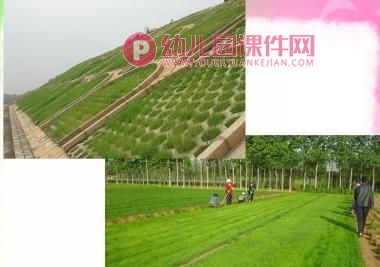 大班环境教育课件PPT《土地妈妈的营养》PPT课件图片