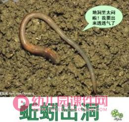 大班课件PPT《春夏秋冬物象天气预报》PPT课件图片