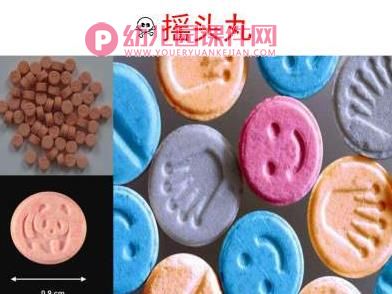 大班禁毒教育PPT课件图片