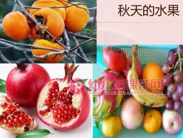 大班主题课件PPT《秋天的故事》PPT课件图片